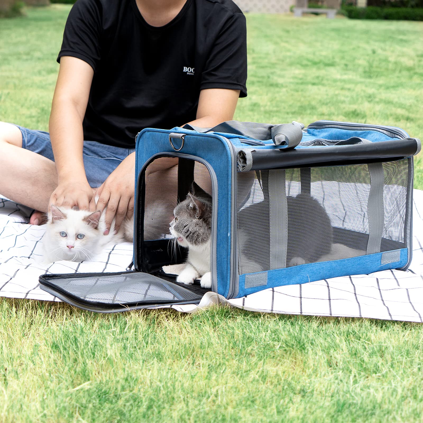 Pet Carrier for Large and Medium Cats Soft-Sided Travel Bag