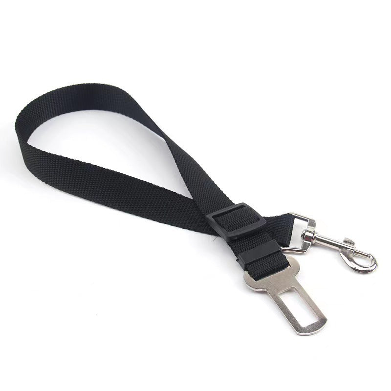 Brilliant Retractable Belt for Dog's safety in the Car.
