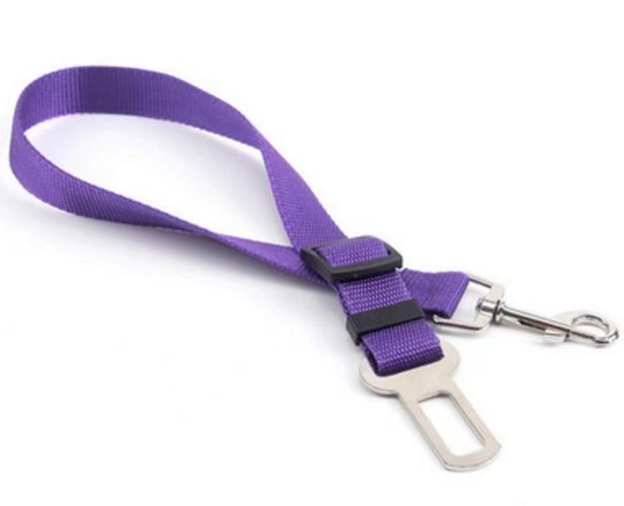 Brilliant Retractable Belt for Dog's safety in the Car.
