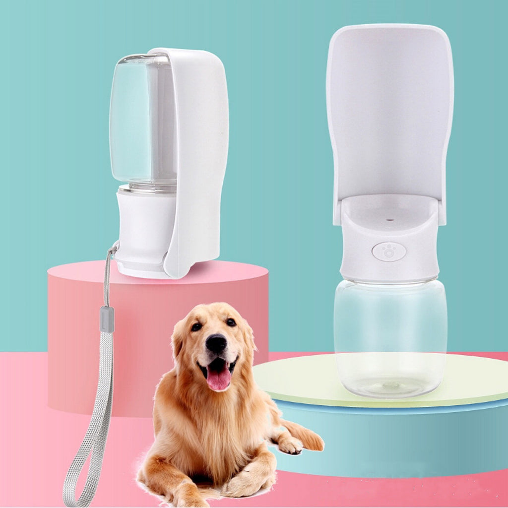 Fantastic portable and Foldable water Bottle for your Dog
