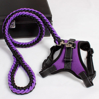 Fantastic Dog Leash made by long-lasting Nylon materials