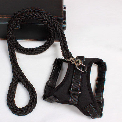 Fantastic Dog Leash made by long-lasting Nylon materials
