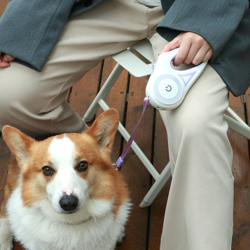 Brilliant Dog Leashes with Automated Collar-Spotlight