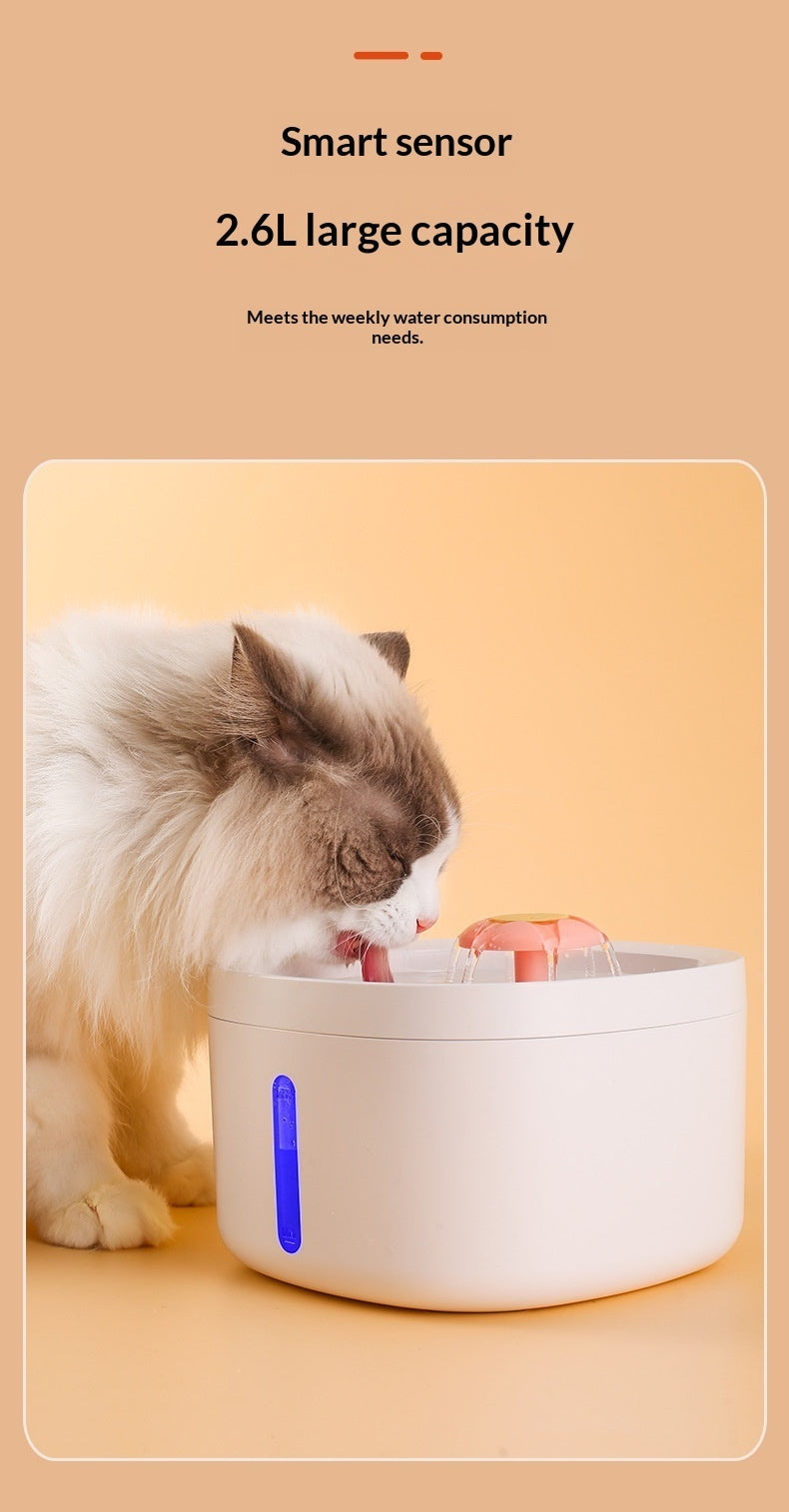 Filtered Charging Induction Smart Pet Water Fountain