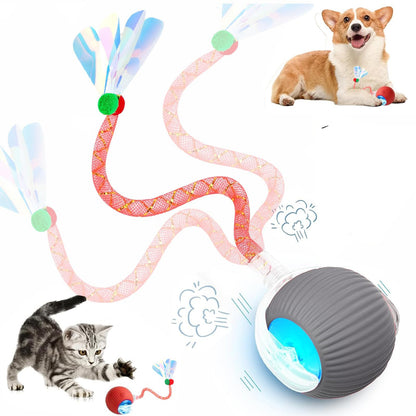 Interactive Cat Toy
