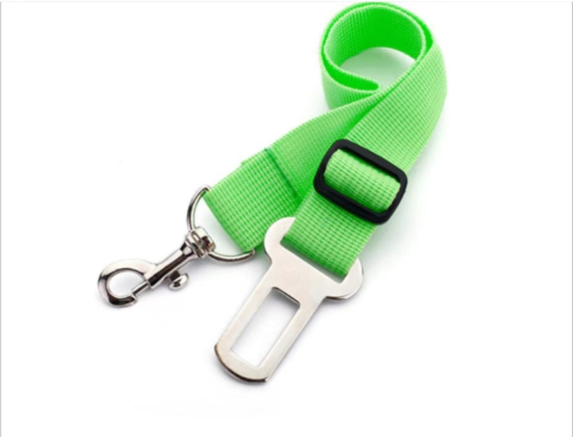 Brilliant Retractable Belt for Dog's safety in the Car.